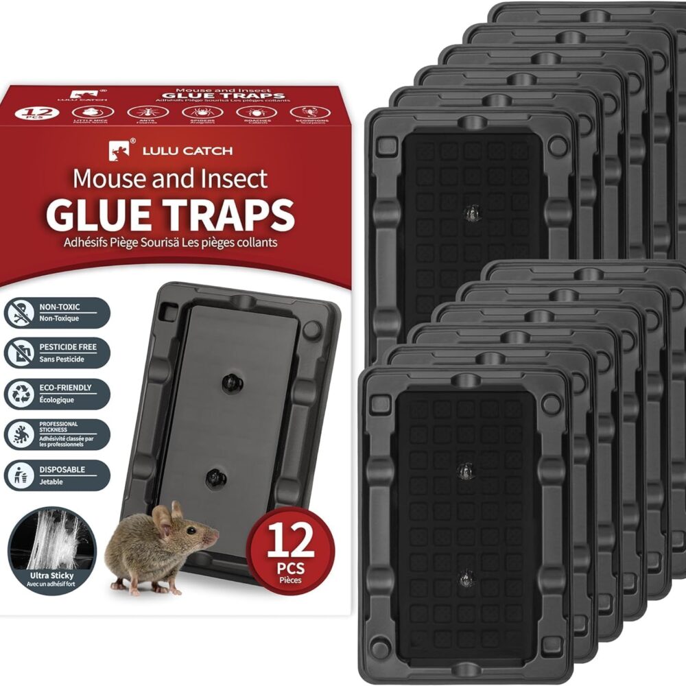 LULUCATCH Mouse & Insect Traps 12 Pack, Heavier Sticky Traps with Non-Toxic Glue for Small Mice & Insects. Sticky Mouse Traps Indoor for Home, Easy to Set